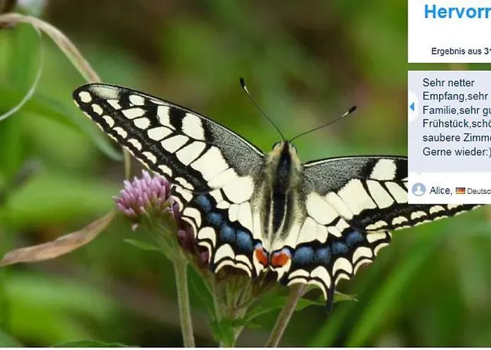 アパート Haus Kotthoff